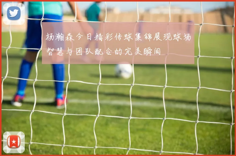 杨瀚森今日精彩传球集锦展现球场智慧与团队配合的完美瞬间