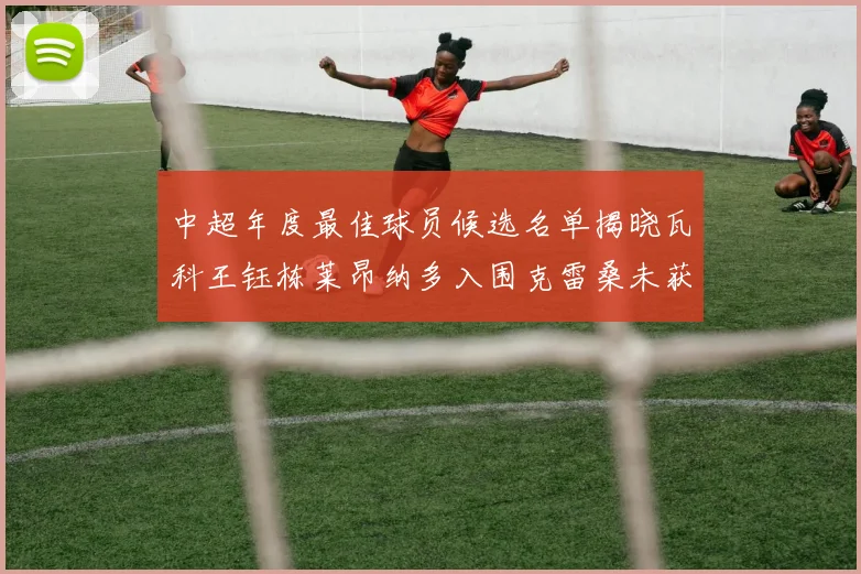 中超年度最佳球员候选名单揭晓瓦科王钰栋莱昂纳多入围克雷桑未获提名