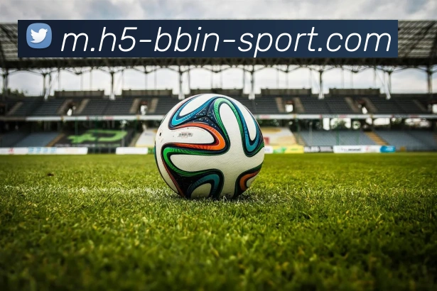 BBIN体育发展历程